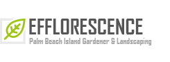 Efflorescence Logo